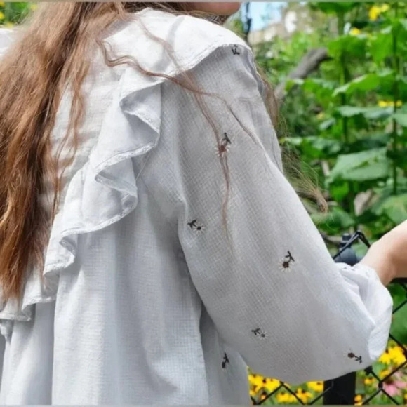 Zara Daisy Floral Embroidered Ruffle Neckline Cotton Mini Dress Light Blue XS - Picture 5 of 11